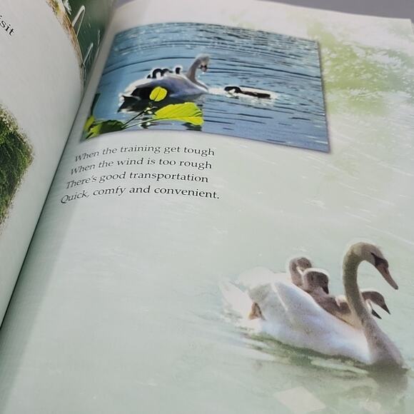 The Noble Wilds by The Supreme Master Ching Hai Paperback - Picture 12 of 15